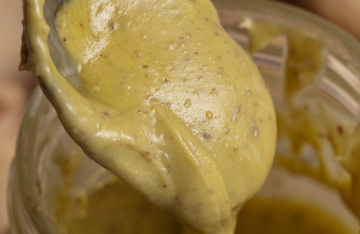 Lasciamo intiepidire e uniamo metà composto di latte nel frullatore. Lavoriamo qualche istante finché la granella di pistacchi e zucchero sarà del tutto sciolta. Accorpiamo quindi il resto del latte e lavoriamo ancora qualche minuto.