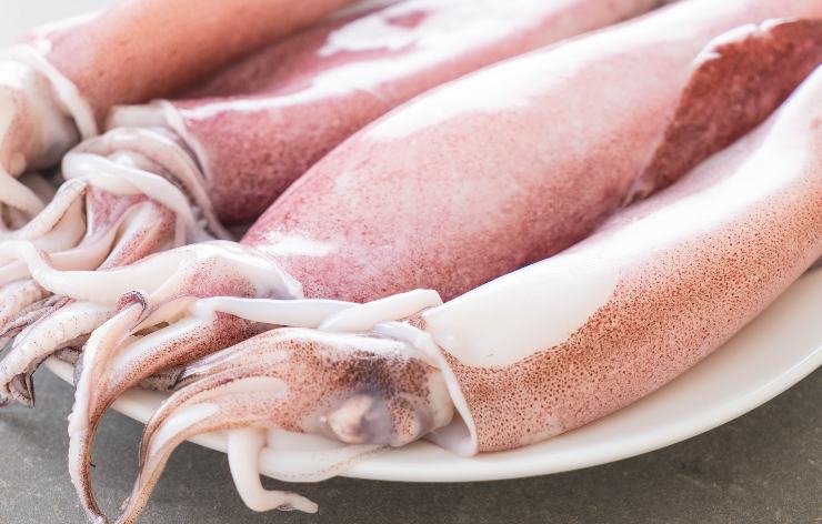 Prendete i calamari già puliti e sciacquati, tamponateli accuratamente con della carta assorbente. Tagliate a rondelle spesse circa un centimetro e lasciate interi i tentacoli. Lavate i pomodorini datterini e tagliateli a metà poi sciacquate i capperi sotto l’acqua corrente. In un’ampia padella antiaderente, scaldate l’olio extravergine d’oliva con lo spicchio d’aglio schiacciato ed il peperoncino fresco a pezzetti.