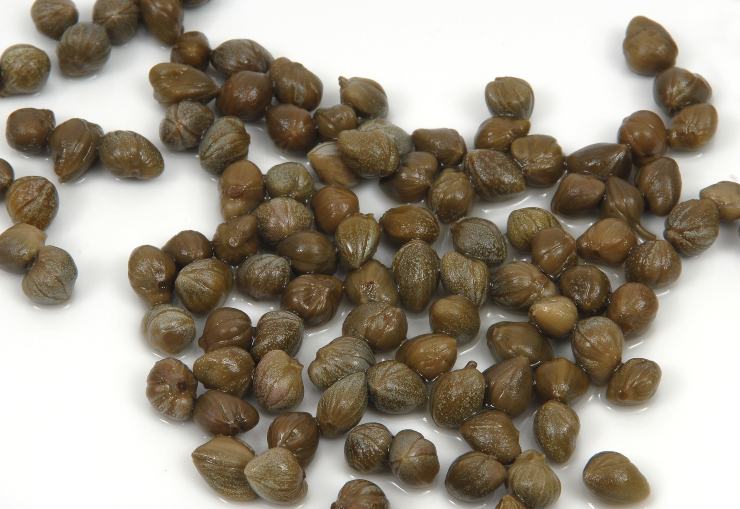 Appena l’aglio risulterà leggermente dorato, alzate la fiamma al massimo ed aggiungete i calamari nella padella ben calda. Saltateli a fuoco vivace per soli 2 minuti, muovendo la padella: noterete che cambieranno subito colore diventando bianchi e sodi. Sfumate con il vino bianco secco, quindi prelevate i calamari dalla padella e metteteli in un piatto coperto: questo passaggio furbo impedirà al pesce di stracuocere e indurirsi mentre prepariamo il sugo.