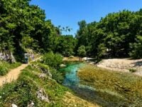 fattoria rosabella fiume calore