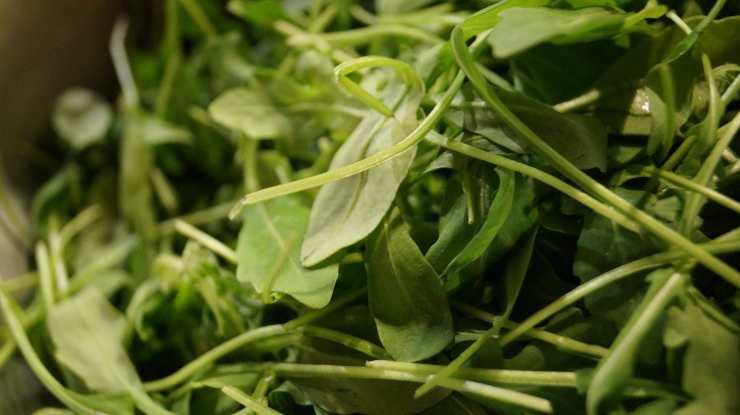 Salate il pollo solo a fine cottura, poi trasferitelo su un tagliere e lasciatelo riposare un paio di minuti coperto. Nel frattempo, lavate la rucola e tagliate i pomodorini gialli a metà: conditeli in una ciotola con un filo d’olio ed un pizzico di sale. Affettate il pollo per ottenere i classici straccetti da tagliata.