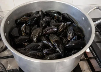 Cozze fresche in pentola pronte per l'Impepata di Cozze Napoletana Pentola in acciaio colma di cozze fresche pulite pronte per la preparazione dell'autentica impepata di cozze napoletana.