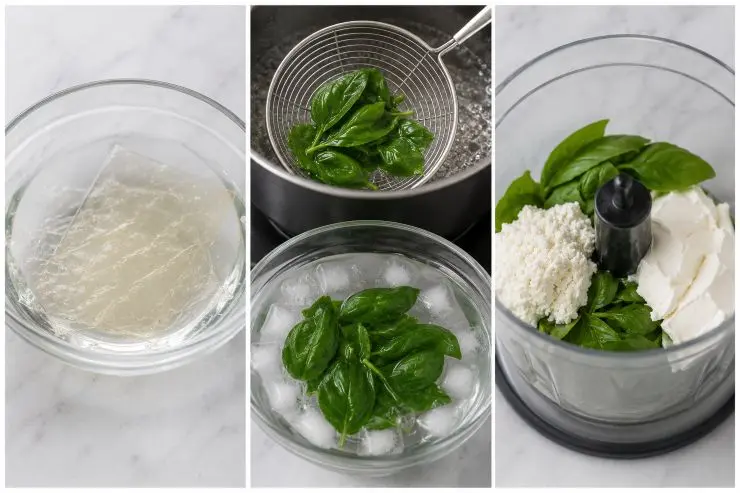 Ammollate i fogli di gelatina in acqua fredda per 10 minuti. Nel frattempo, sbollentate le foglie di basilico per soli 2 secondi in acqua bollente e tuffatele in acqua e ghiaccio per fissare il colore verde acceso. Strizzatele e frullatele insieme al formaggio spalmabile e alla ricotta fino ad ottenere una crema liscia. Regolate di sale e pepe. Strizzate la gelatina e scioglietela in due cucchiai di panna o latte caldi.