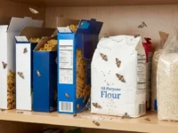 Infestazione di farfalline del cibo tra pacchi di farina e pasta aperti in una dispensa di legno, pronte per essere eliminate definitivamente.