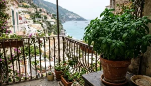 Coltivazione del basilico in vaso sul balcone Una rigogliosa pianta di basilico in vaso di terracotta posizionata all'ombra su un balcone con vista panoramica sulla Costiera Amalfitana.