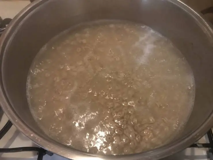 Sciacquate l’orzo perlato sotto l’acqua corrente fredda per eliminare le impurità. Lessatelo in abbondante acqua salata seguendo i tempi riportati sulla confezione (solitamente circa 30 minuti). Scolatelo al dente e trasferitelo subito in una ciotola capiente, condendolo con un filo di olio extravergine d’oliva per non farlo attaccare. Lasciatelo raffreddare completamente a temperatura ambiente.