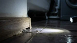 Pesciolino d'argento illuminato da una torcia sul pavimento del bagno vicino al battiscopa, in primo piano.