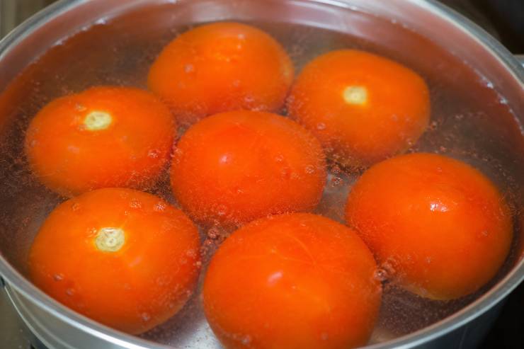 Mettete subito sul fuoco una capiente pentola di acqua salata e portatela a bollore. Nel frattempo che l’acqua si scalda, praticate un leggero taglio a croce sulla buccia dei pomodori. Sbollentateli per un paio di minuti nella stessa acqua della pasta, poi scolateli e passateli immediatamente sotto l’acqua fredda. Questo vi permetterà di spellarli in un secondo. Eliminate i semi interni e tagliate la polpa a cubetti regolari.